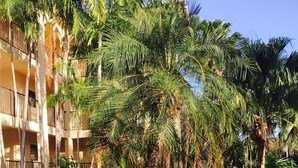 Un edificio con diversi balconi, immerso nel verde e circondato da palme.