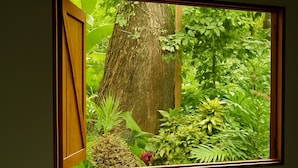 Una habitación con una cama, un ventanal con vista a un árbol y follaje, y un almohadón en la cama.