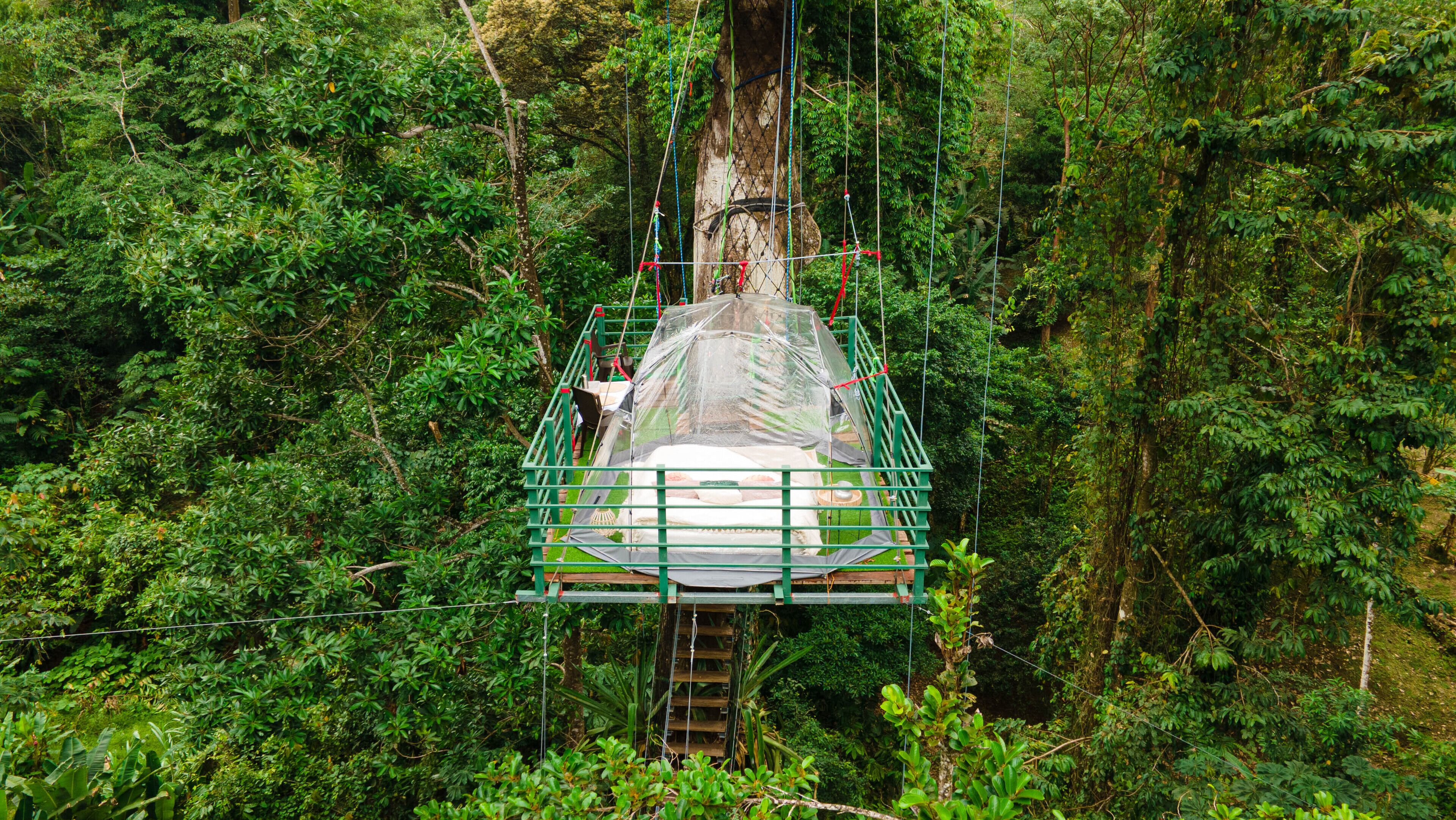 A suspended platform in a forest with a transparent canopy, surrounded by dense foliage.