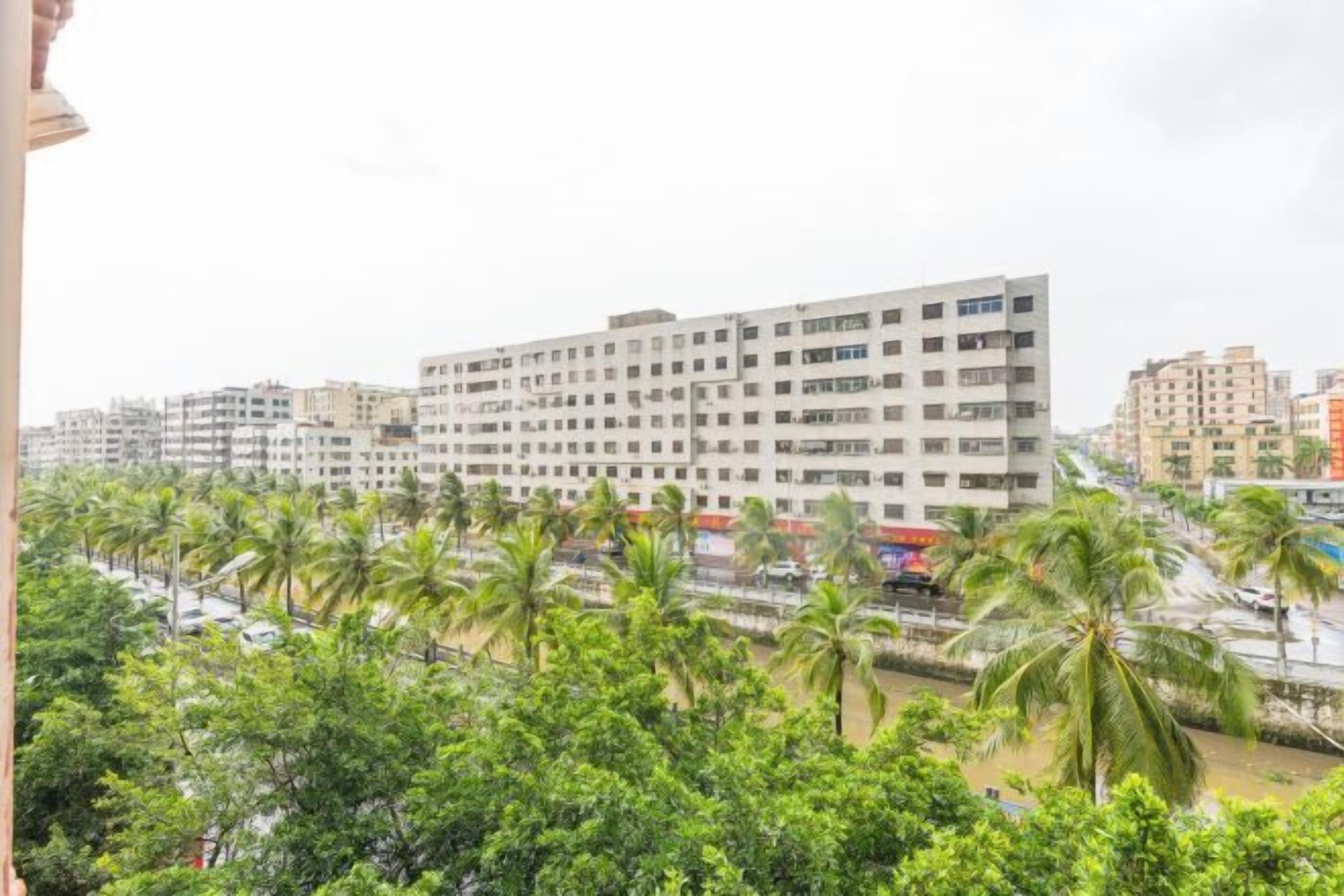 Edifício de vários andares com fachada uniforme, ladeado por fileira de palmeiras.