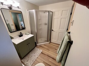 Shower - Charming one bedroom on Main St (Old Forge)