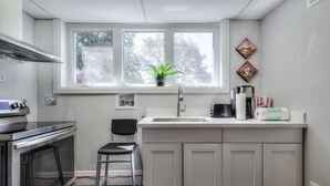 Cocina compacta con horno integrado, lavamanos y ventana con planta.