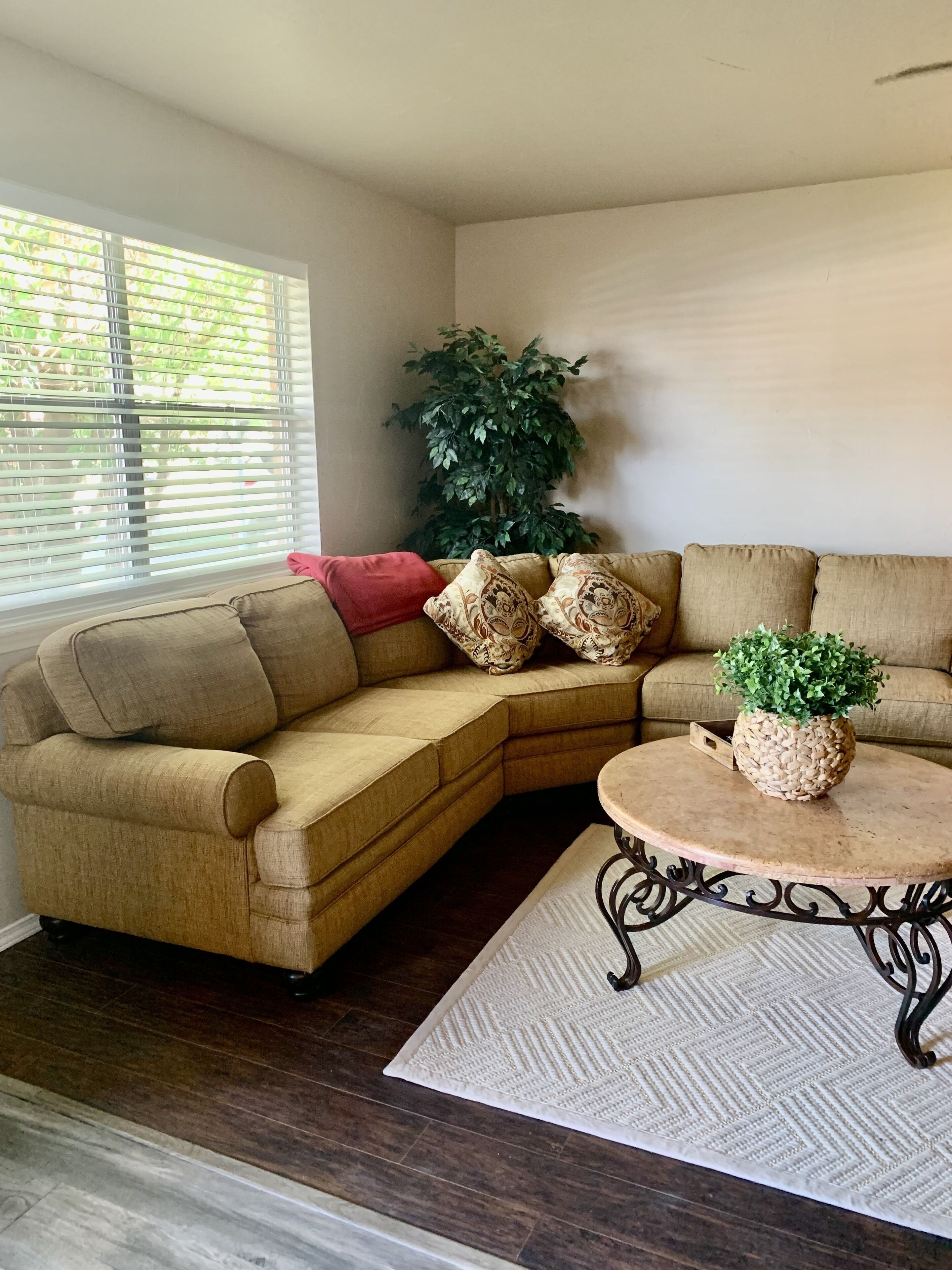 The Modern Birch House FULLY REMODELED