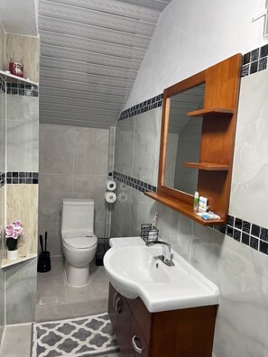 Regadera, secadora de cabello, toallas, jabón 
