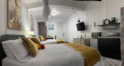 Double Luxury Queen Apt#3 in Roseau with Kitchenette and Gorgeous Bathroom!