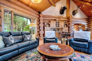 Smart TV, fireplace, books, offices