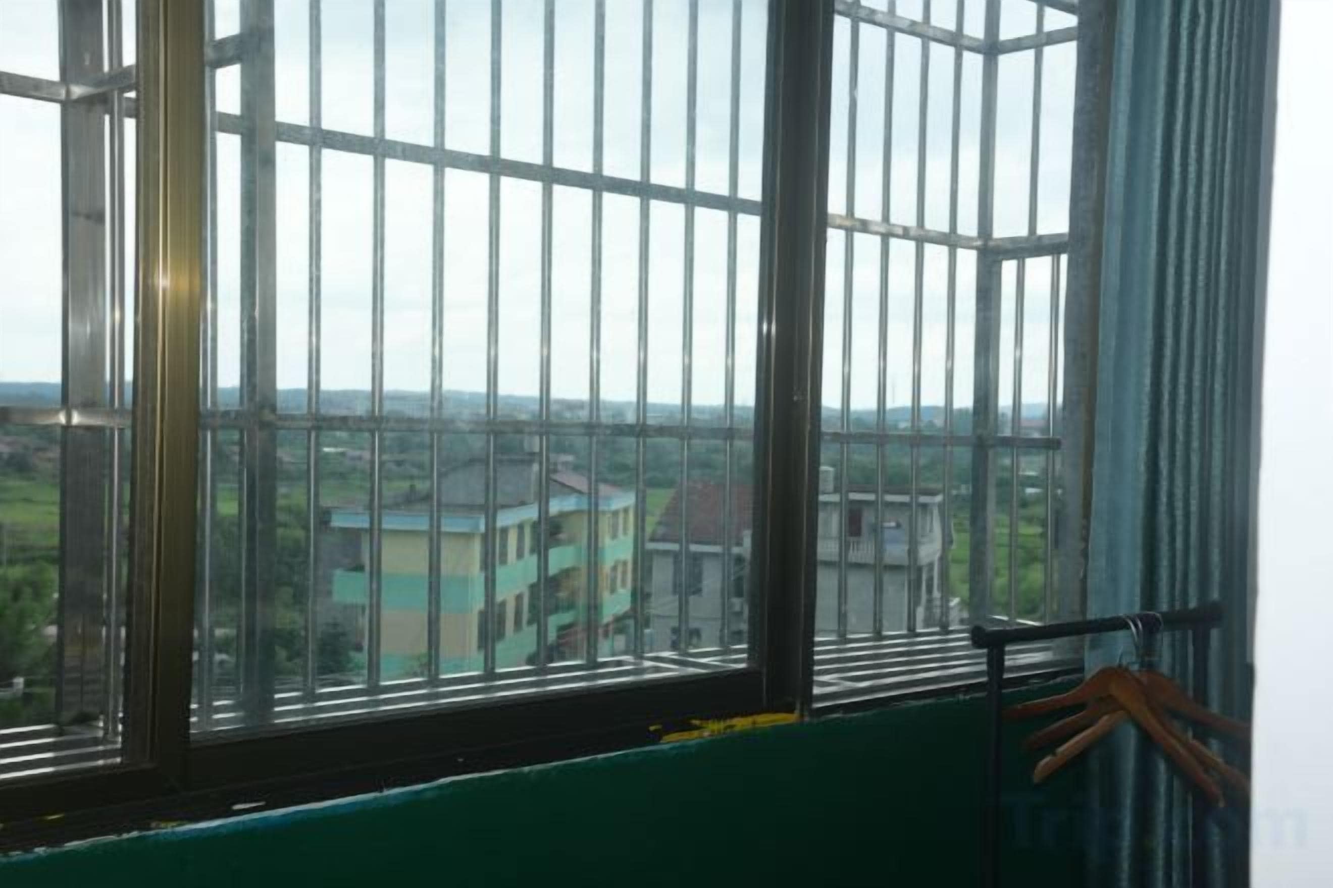 A window with metal bars, a green wall, and a view of buildings and greenery outside.