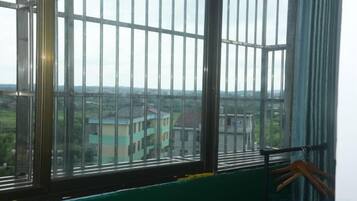 A window with metal bars, a green wall, and a view of buildings and greenery outside.