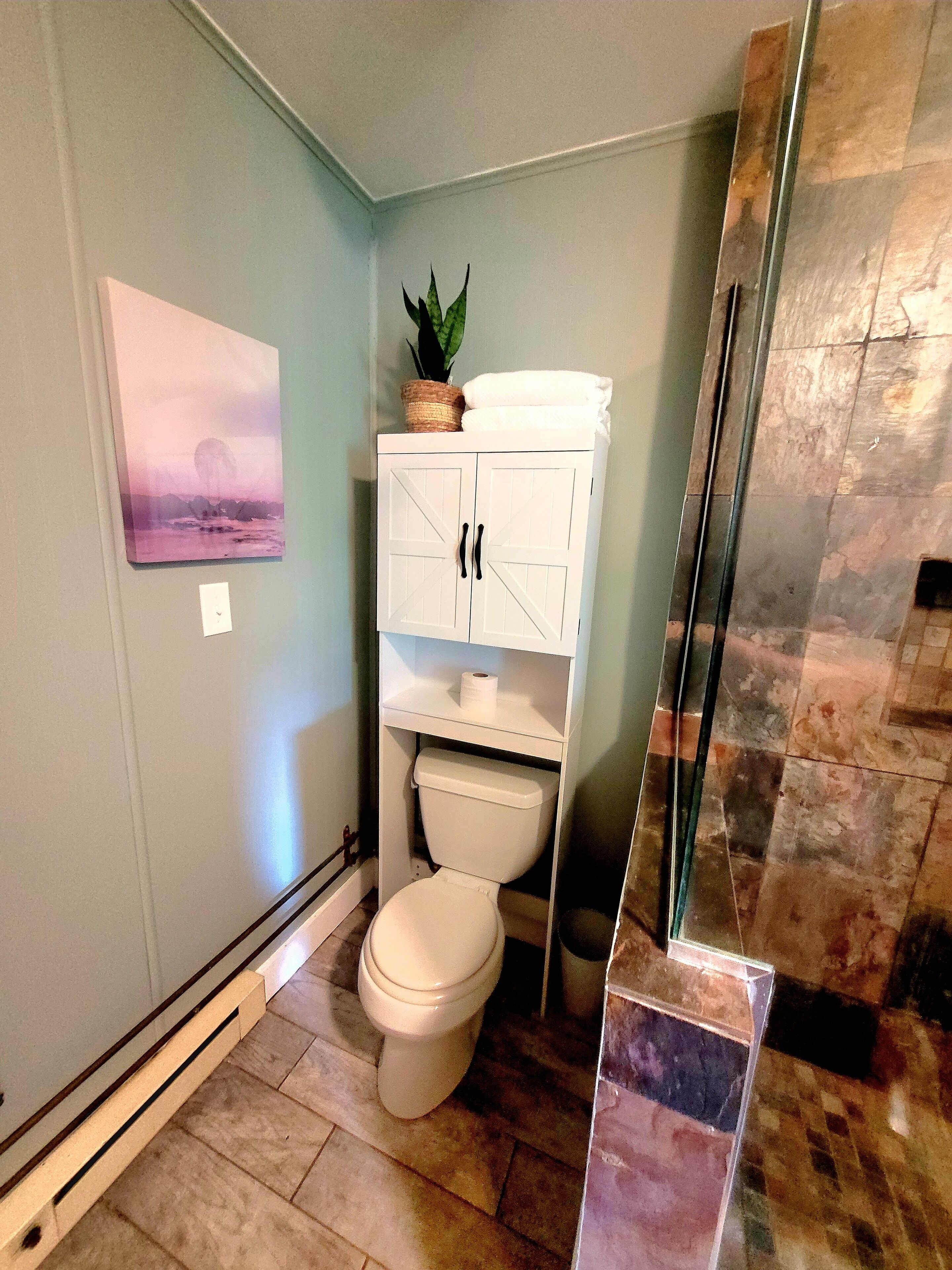 Une salle de bain comprenant des toilettes, un meuble avec une plante et un espace douche doté d’un sol carrelé.