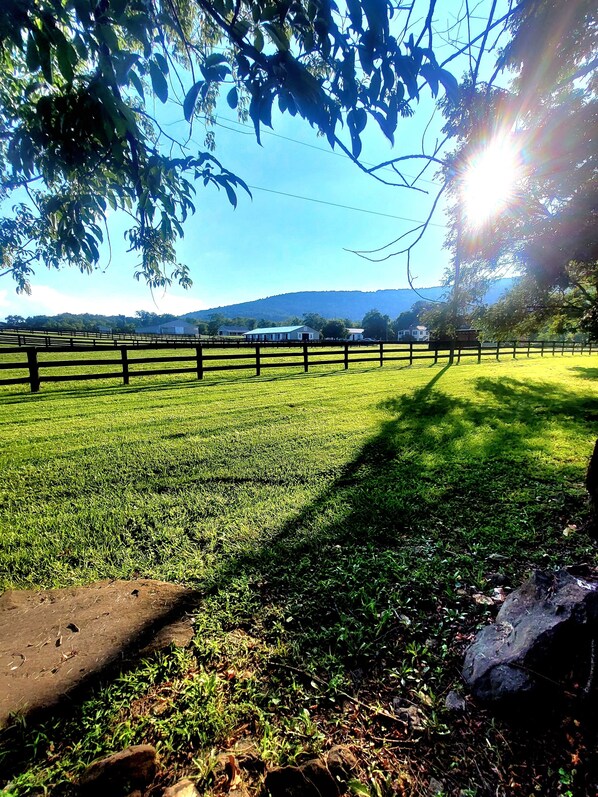 Overnattingsstedets uteområder