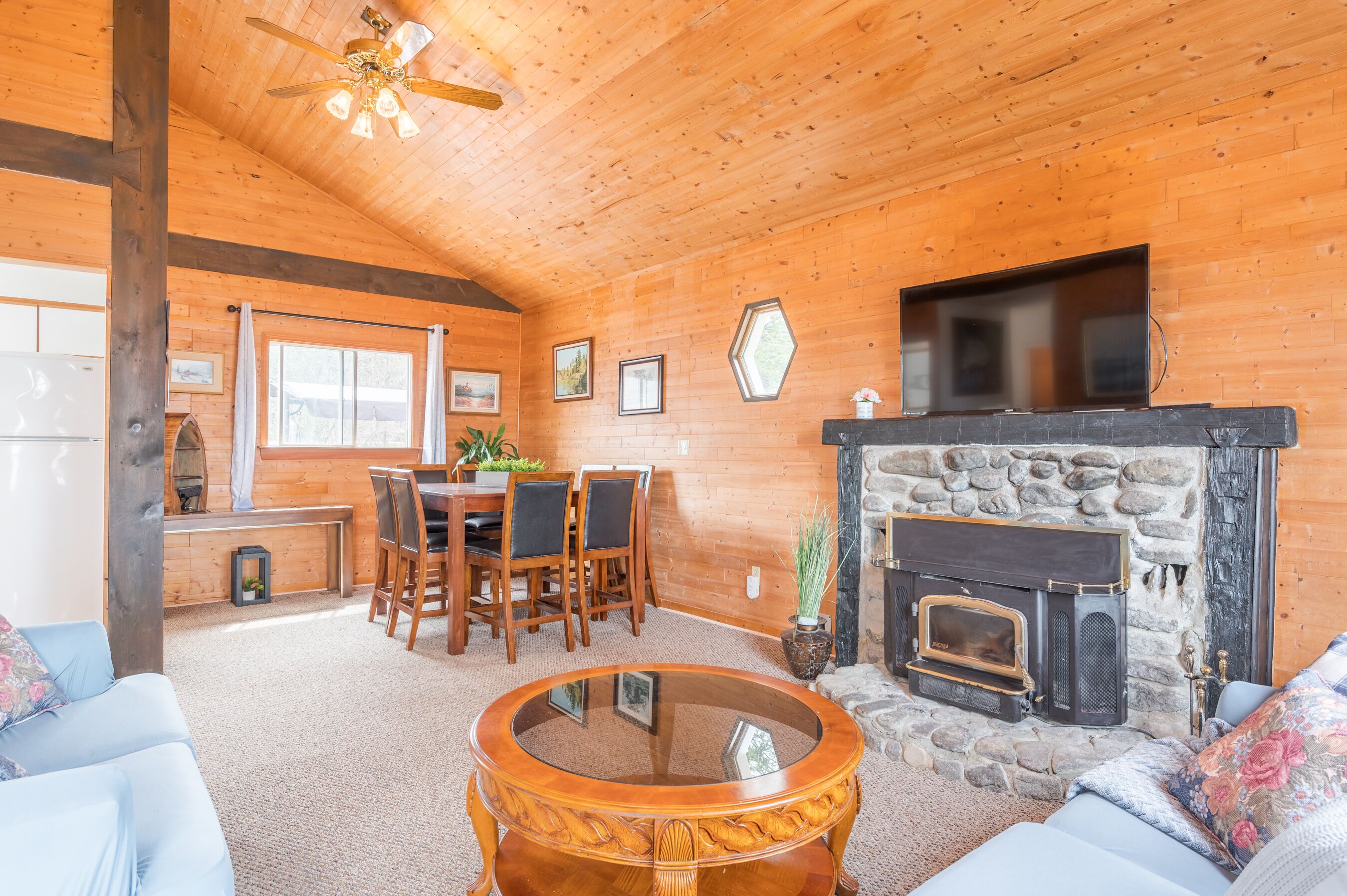 TV connectée, cheminée, livres