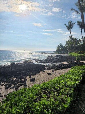 A beach with rocky terrain, palm trees, and a clear sky.