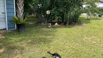 Un perro descansando sobre el césped en un patio trasero, con una casa y diversas plantas al fondo.