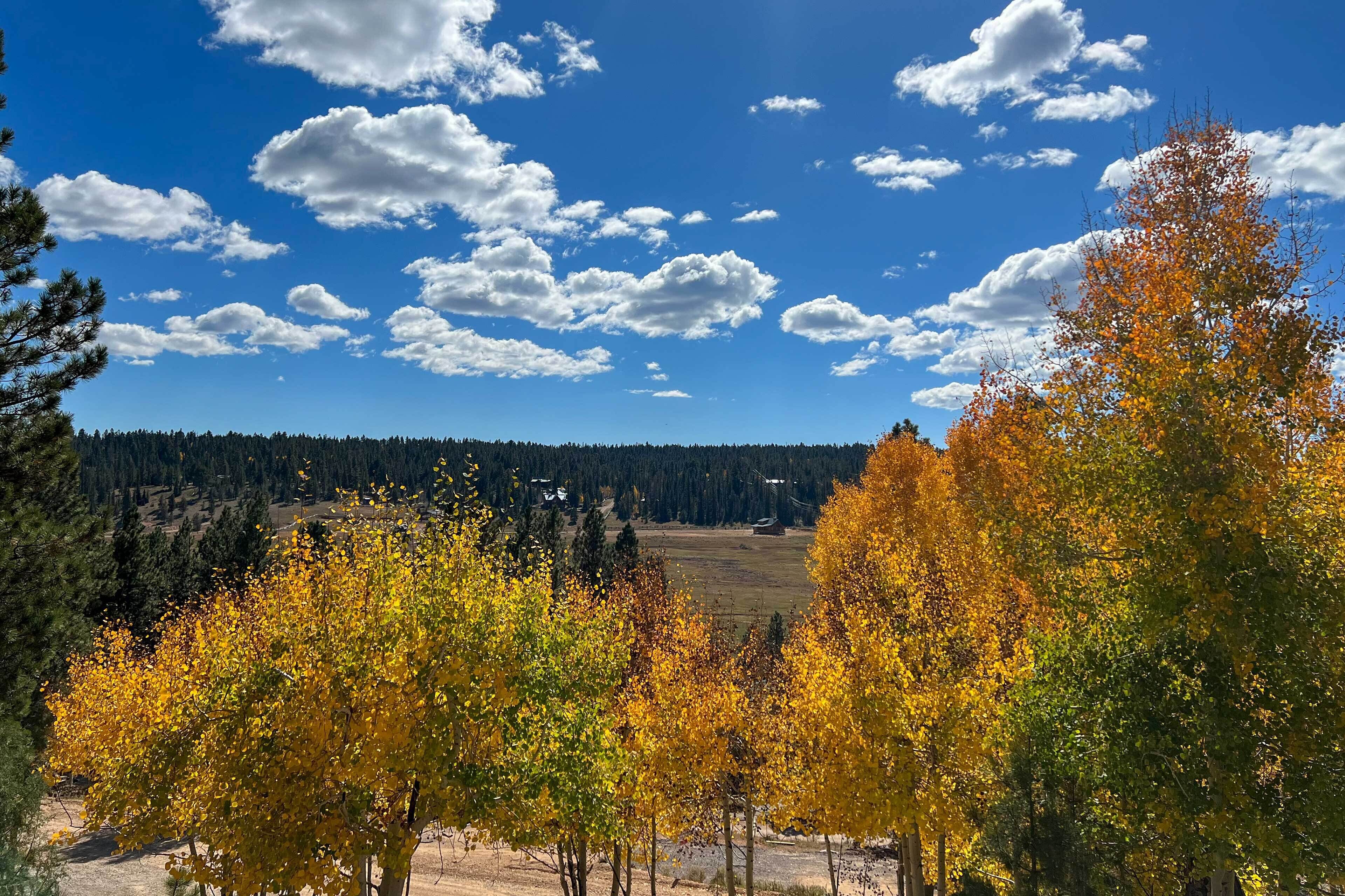 Pet-Friendly Duck Creek Village Retreat w/ Deck!