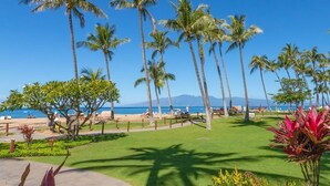 A beachside resort with palm trees, a grassy area, and a view of the ocean.