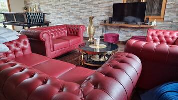 Télévision, cheminée, livres, chaßne hi-fi