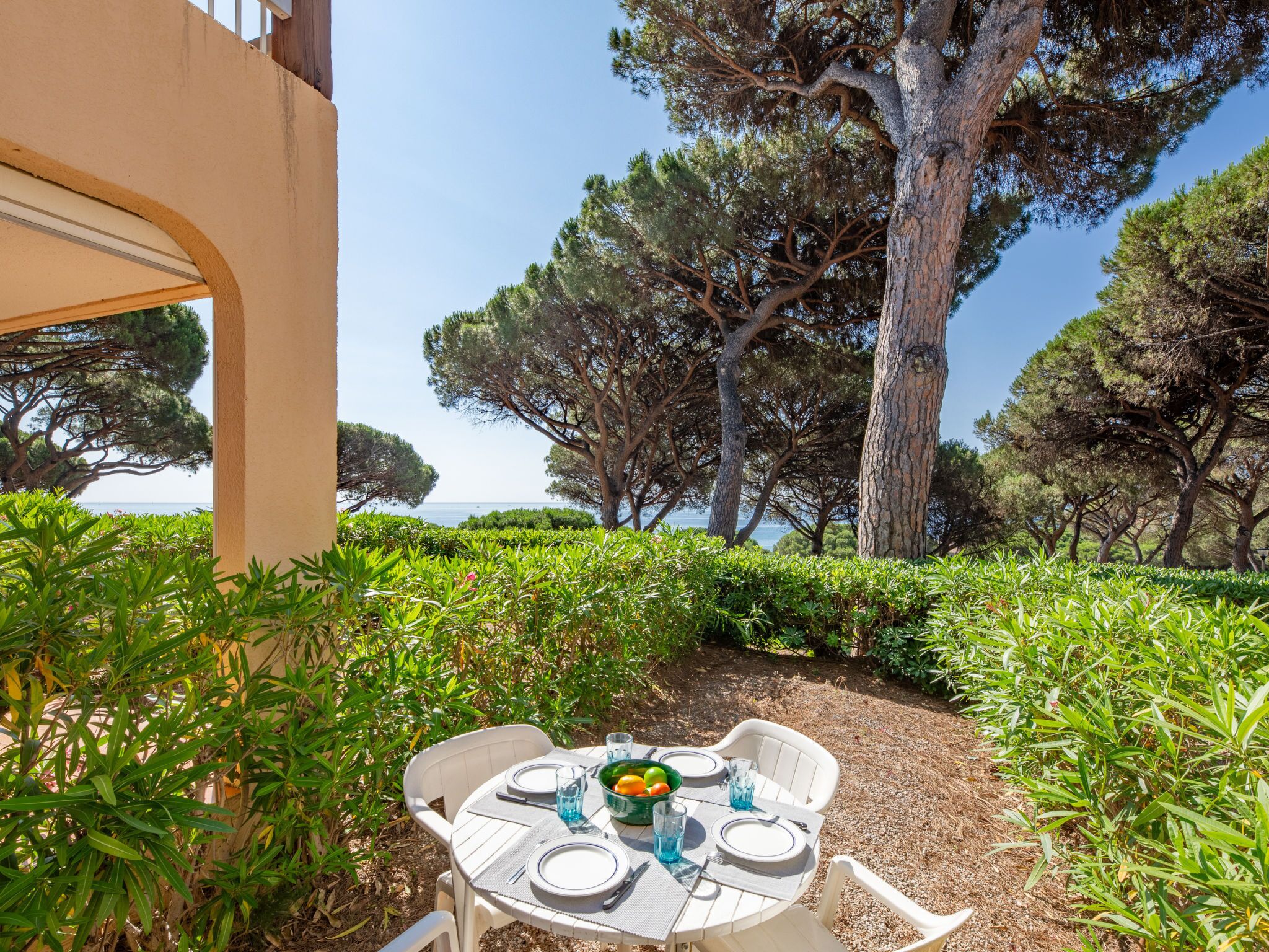 Un área de comedor al aire libre con una mesa preparada para cuatro personas, rodeada de vegetación exuberante y árboles grandes.