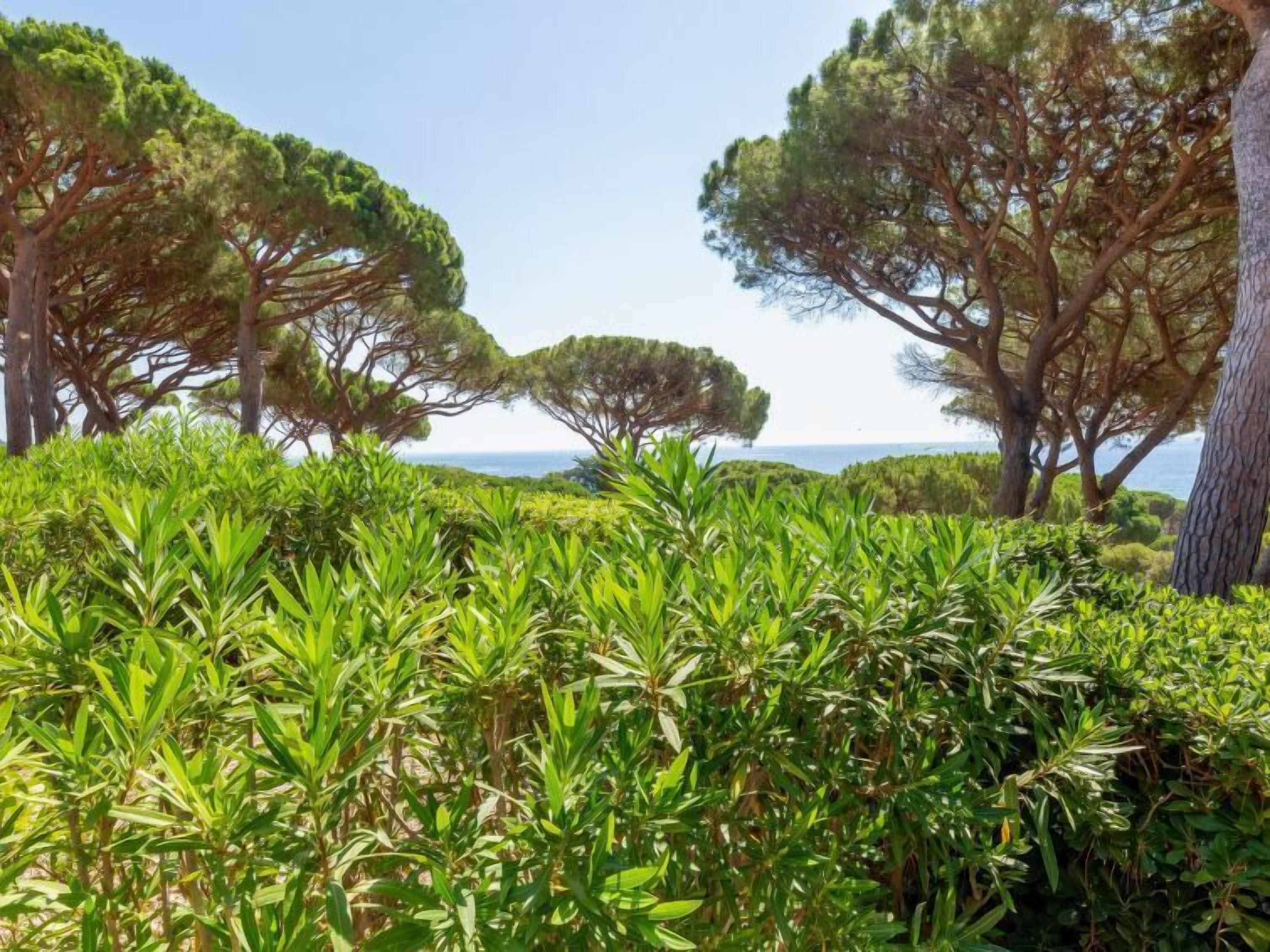Een kustlandschap met weelderige begroeiing en bomen.