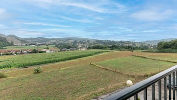 Ländliche Landschaft mit Feldern, einer Straße und entfernten Häusern.