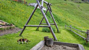 A wooden swing set in a grassy area with a cat nearby.