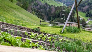 A rural landscape with a wooden structure, possibly a farm tool shed, surrounded by green fields and a forested mountain in the background. - 'Bolser Apartment Plan de Corones' with Mountain View, Garden & Wi-Fi (Pieve di Marebbe)