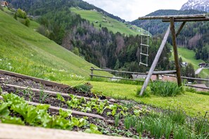 Property grounds - 'Bolser Apartment Plan de Corones' with Mountain View, Garden & Wi-Fi (Pieve di Marebbe)