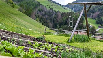 Parco della struttura