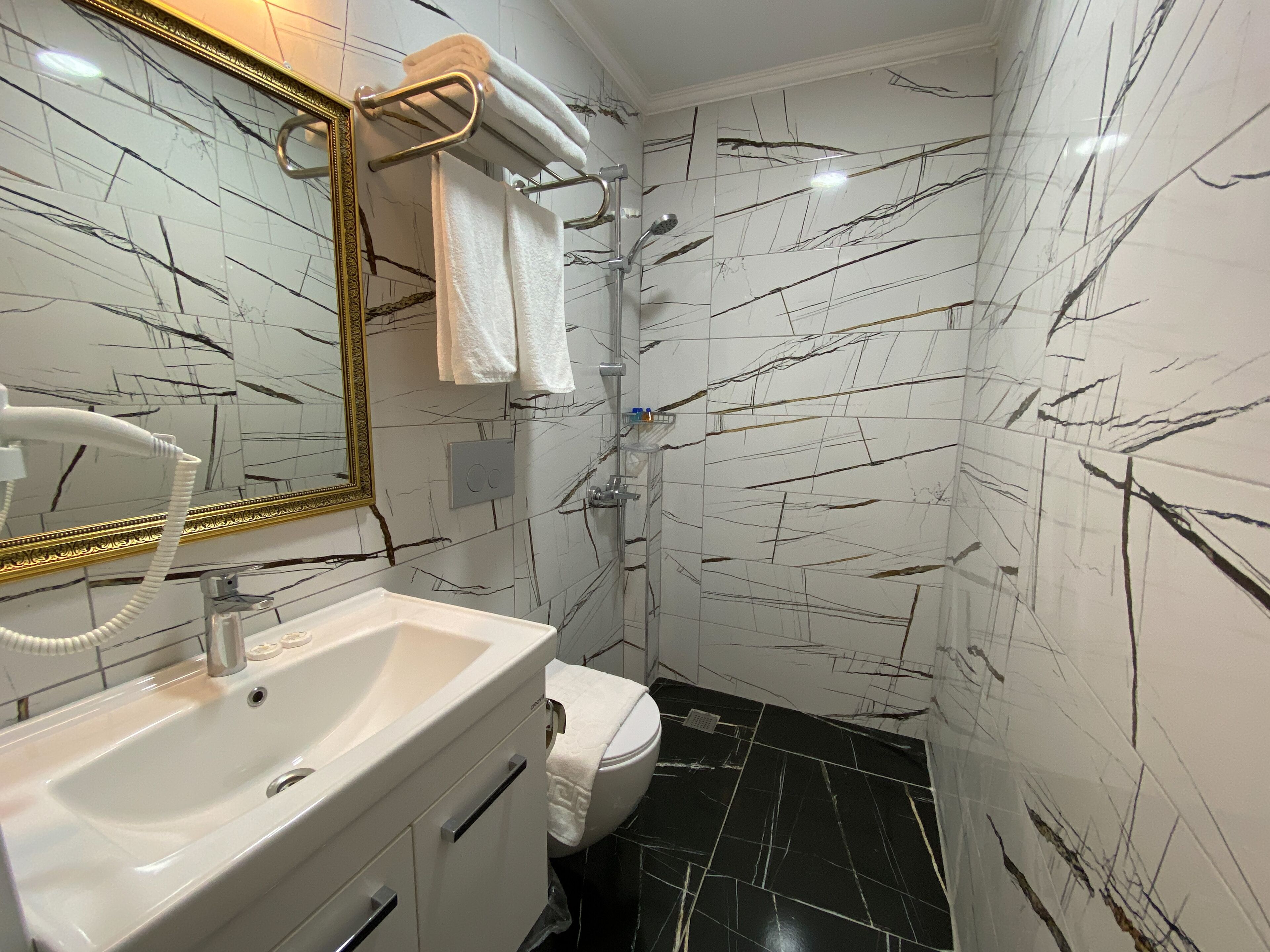 A bathroom with a white sink, a toilet, a shower, and a mirror with a gold frame.