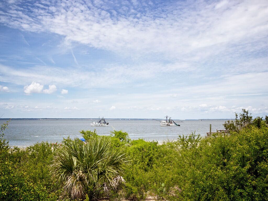 Une vue sur la côte, avec des bateaux sur l’eau, une végétation luxuriante au premier plan et un ciel dégagé.