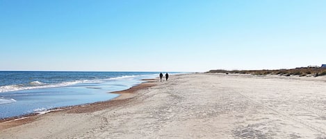 Vlak bij het strand