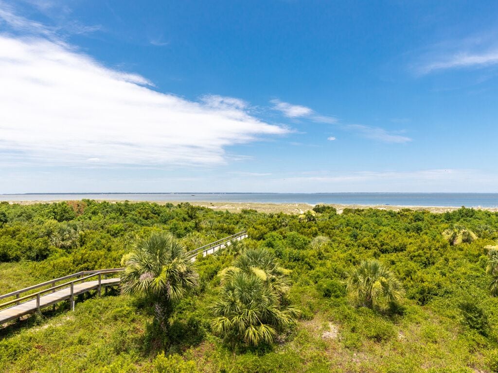 A coastal landscape with a wooden boardwalk, dense greenery, and a clear view of the ocean.