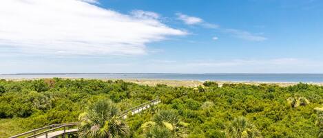 A coastal landscape with a wooden boardwalk, dense greenery, and a clear view of the ocean.