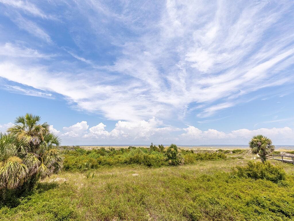A coastal landscape with a clear sky, palm trees, and a distant view of the sea.