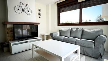 Televisión, chimenea y videoteca