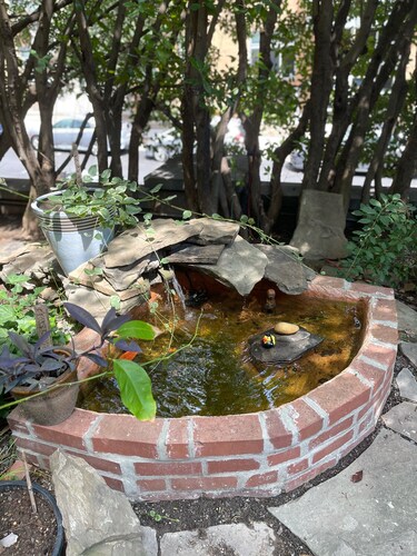 Walk to the best food, music, parks. enjoy private garden.