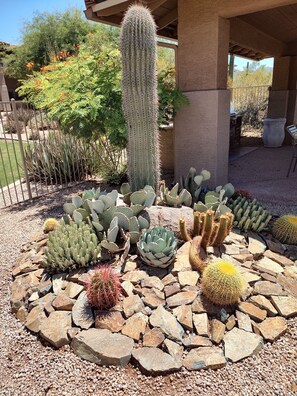 Parco della struttura