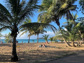A beach with palm trees, people sunbathing, and the ocean in the background.