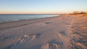 Ein Strand mit blauem Himmel, sandigem Ufer und einer sanften Küstenlinie.