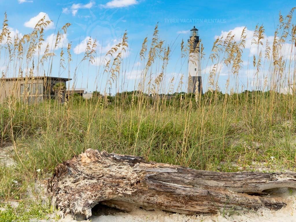A beach scene with a wooden structure, a lighthouse, and tall grasses.