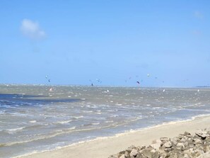 Serviettes de plage