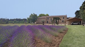 A house with a stone facade and a car parked in front.