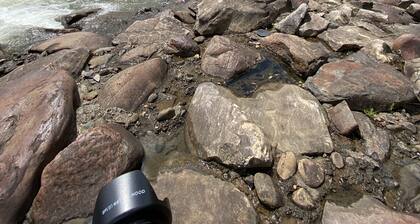 2 BR,1BA Spacious Mountain View Suite near Cherokee National Forest, Ocoee River