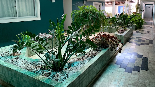 A modern indoor garden with various plants and a tiled floor. - Pousada Elxadai (Guarapari)