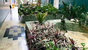 A corridor with tiled flooring, green planters with various plants, and a blue wall with a door. - Pousada Elxadai (Guarapari)