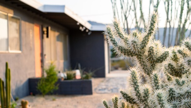 Una casa moderna con un giardino di cactus in primo piano.