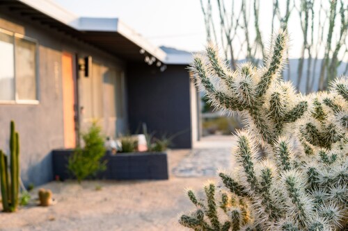 El Paseo | Relaxing Mid-Century Boho Home 