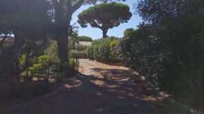 A pathway leading through a garden with a large tree and dense foliage on either side. - Chalet in a flowery park, 3 minutes from the beach! (Gassin)