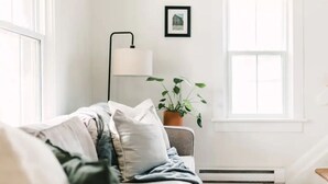 A cozy living room with a sofa, a floor lamp, a potted plant, and a window with blinds.