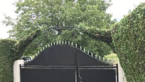 Una reja de metal negro con un adorno en la parte superior, rodeada de abundante vegetación y un seto.