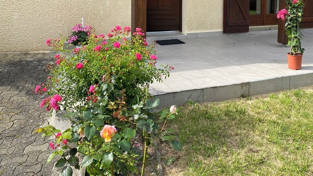 Una casa con techo inclinado, puerta de madera y ventana con reja metálica. Hay plantas en macetas con flores frente a la casa.